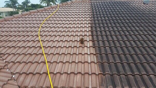 Before & After Roof Cleaning in Encino, CA (1)